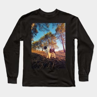 in the pine forest Long Sleeve T-Shirt